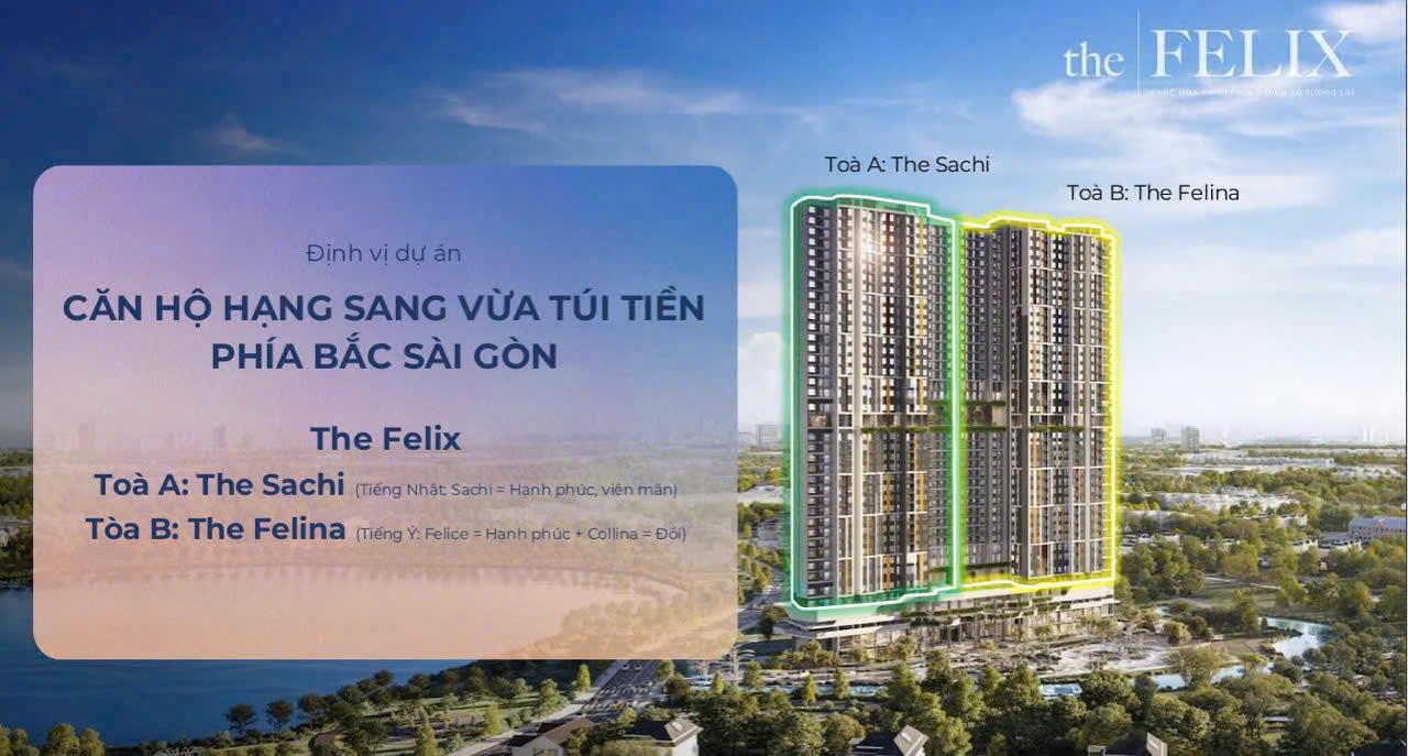 Tổng thể căn hộ the felix thuận an